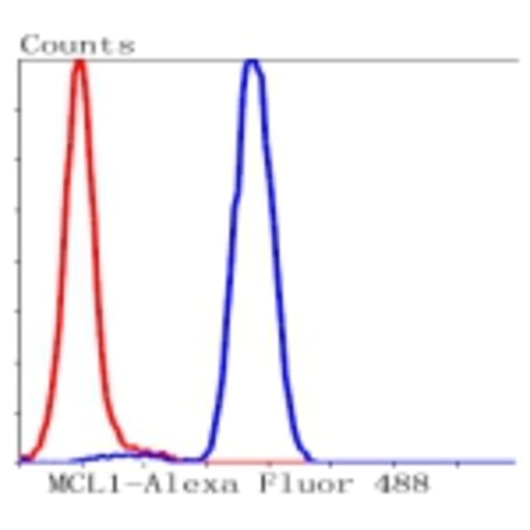 Anti-MCL1 Antibody from Bioworld Technology (BS9891M) - Antibodies.com