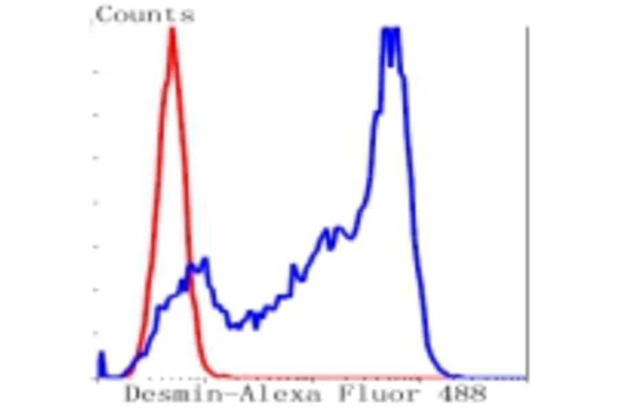 Anti-Desmin Antibody from Bioworld Technology (BS9895M) - Antibodies.com