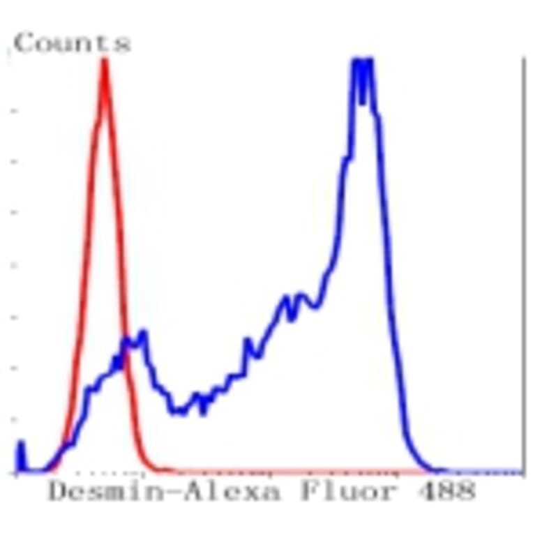 Anti-Desmin Antibody from Bioworld Technology (BS9895M) - Antibodies.com