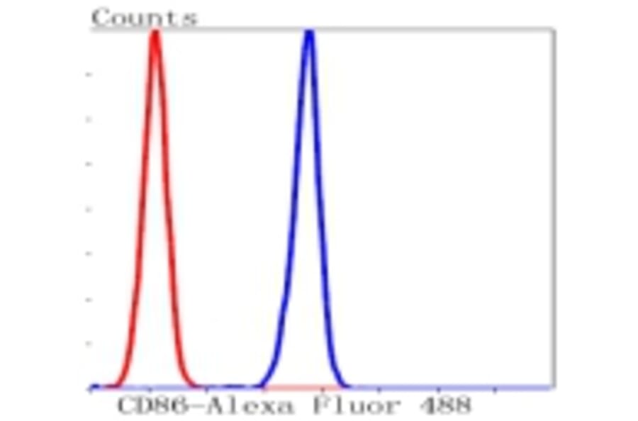 Anti-CD86 Antibody from Bioworld Technology (BS9900M) - Antibodies.com