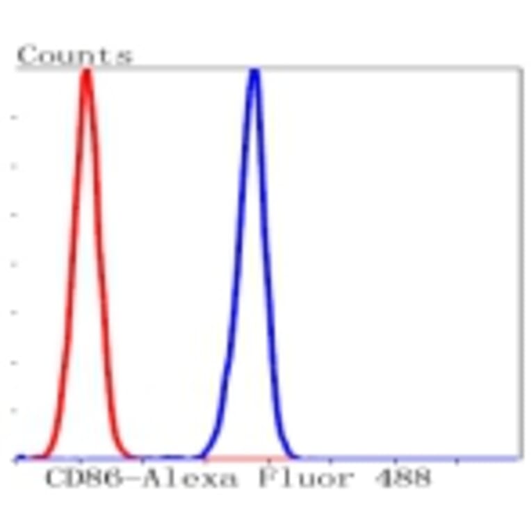Anti-CD86 Antibody from Bioworld Technology (BS9900M) - Antibodies.com
