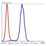 Anti-CD3-ε Antibody from Bioworld Technology (BS9906M) - Antibodies.com