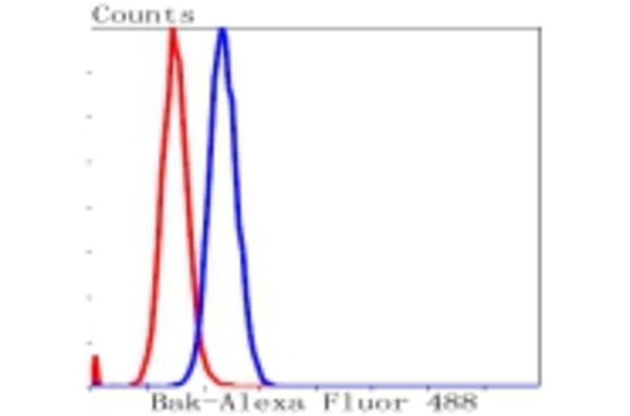 Anti-Bak Antibody from Bioworld Technology (BS9917M) - Antibodies.com