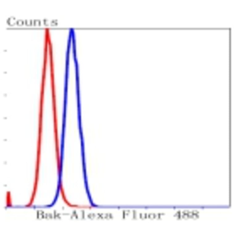 Anti-Bak Antibody from Bioworld Technology (BS9917M) - Antibodies.com