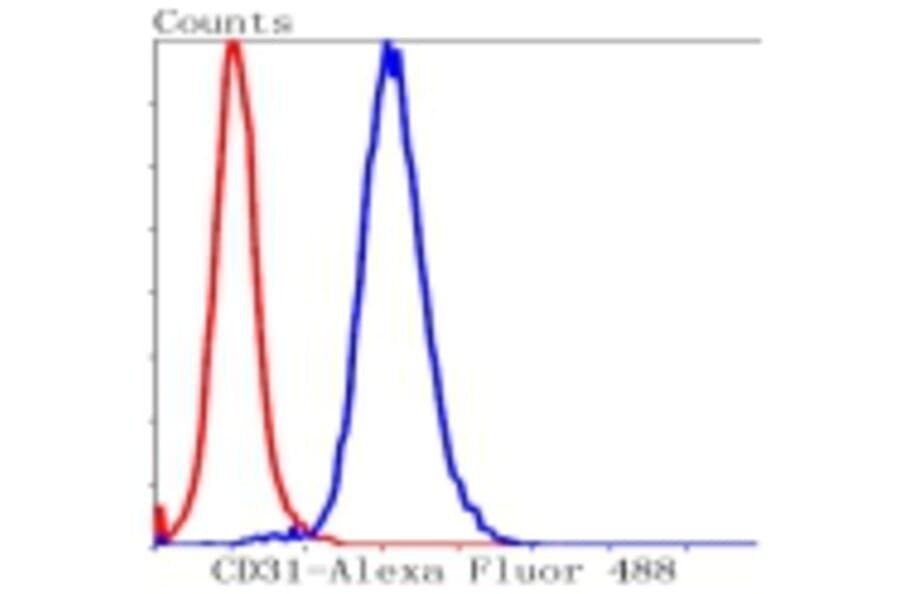 Anti-CD31/PECAM-1 Antibody from Bioworld Technology (BS9921M) - Antibodies.com