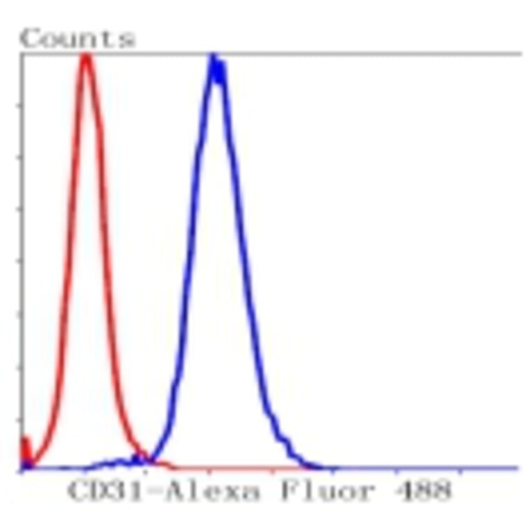 Anti-CD31/PECAM-1 Antibody from Bioworld Technology (BS9921M) - Antibodies.com