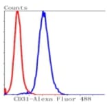 Anti-CD31/PECAM-1 Antibody from Bioworld Technology (BS9921M) - Antibodies.com