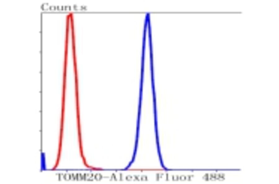 Anti-TOMM20 Antibody from Bioworld Technology (BS9924M) - Antibodies.com