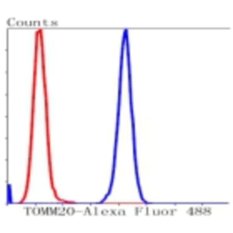 Anti-TOMM20 Antibody from Bioworld Technology (BS9924M) - Antibodies.com