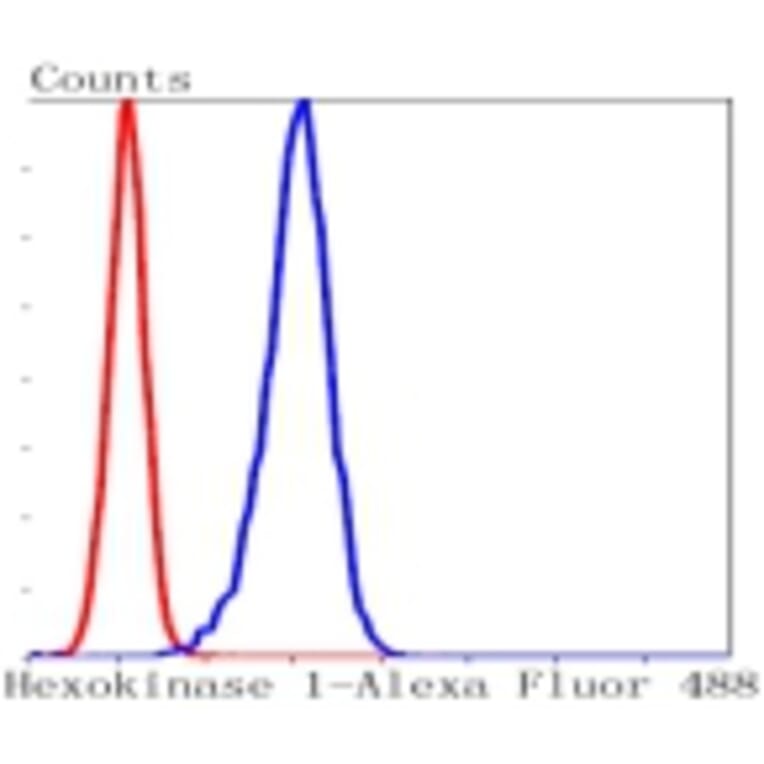 Anti-HXK I Antibody from Bioworld Technology (BS9927M) - Antibodies.com