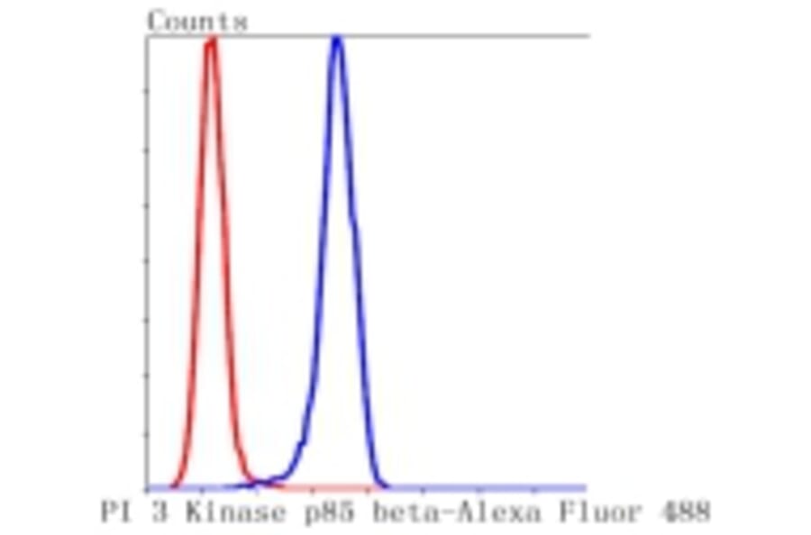Anti-PI3K p85β Antibody from Bioworld Technology (BS9928M) - Antibodies.com