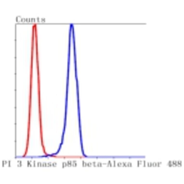 Anti-PI3K p85β Antibody from Bioworld Technology (BS9928M) - Antibodies.com
