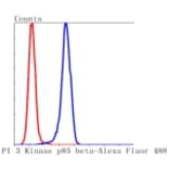 Anti-PI3K p85β Antibody from Bioworld Technology (BS9928M) - Antibodies.com