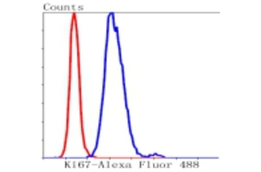 Anti-Ki-67 Antibody from Bioworld Technology (BS9931M) - Antibodies.com