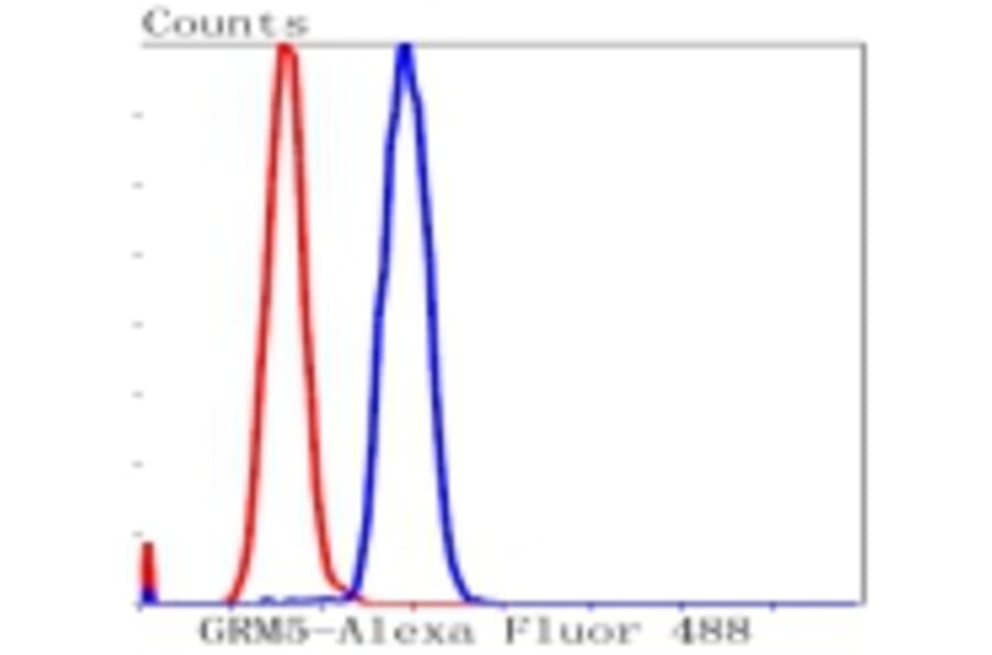 Anti-mGluR-5 Antibody from Bioworld Technology (BS9933M) - Antibodies.com