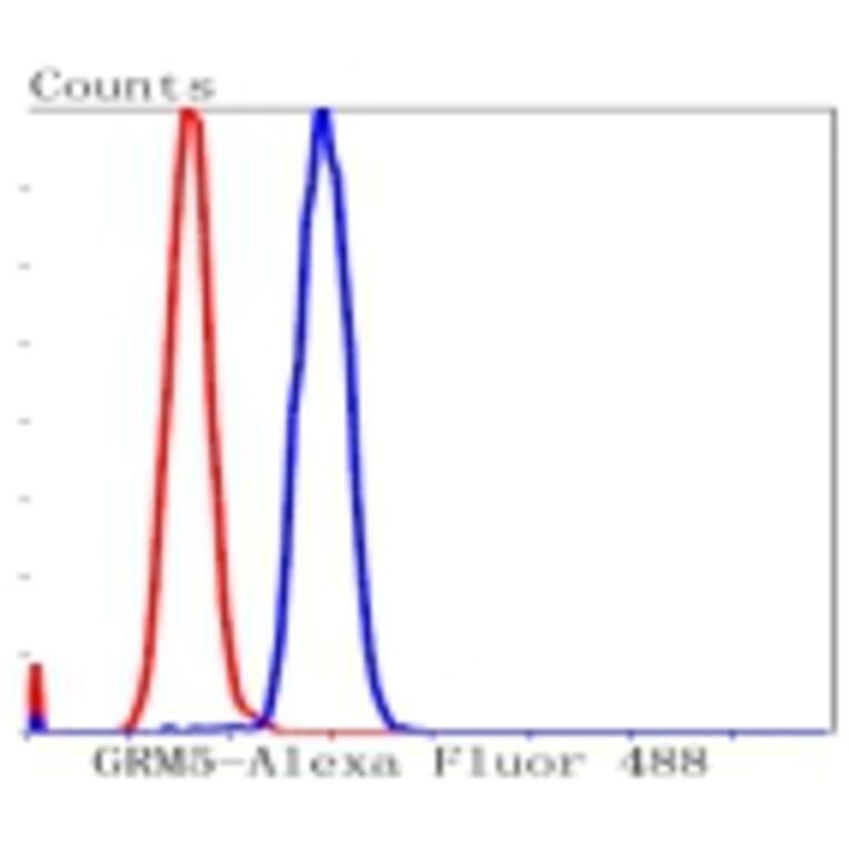 Anti-mGluR-5 Antibody from Bioworld Technology (BS9933M) - Antibodies.com