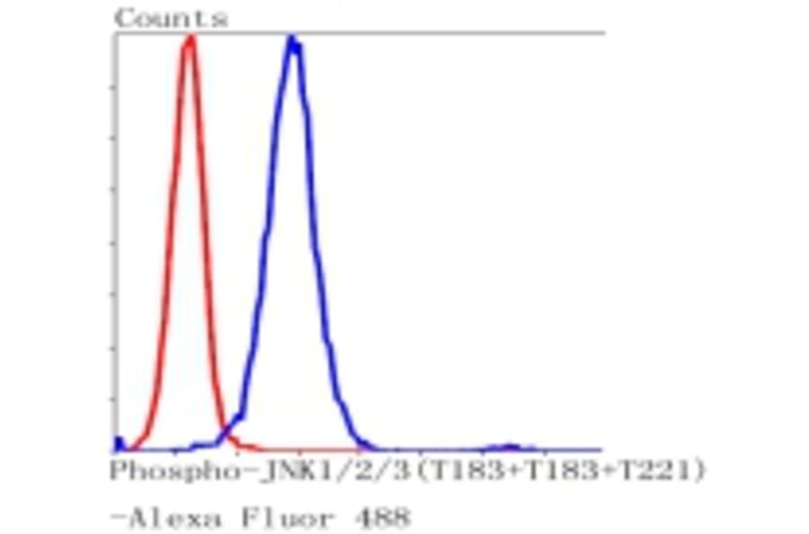 Anti-JNK1/2/3 (Phospho-T183) Antibody from Bioworld Technology (BS9939M) - Antibodies.com