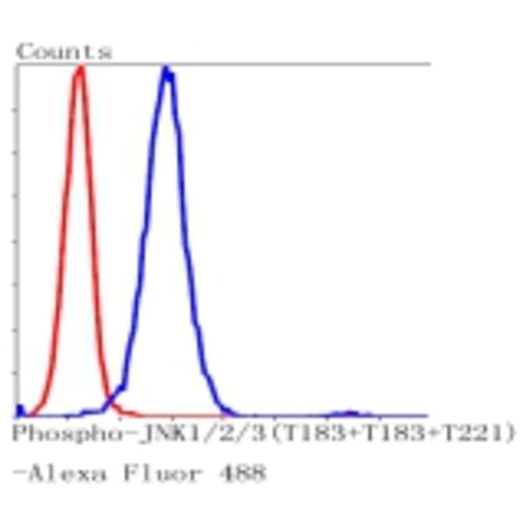 Anti-JNK1/2/3 (Phospho-T183) Antibody from Bioworld Technology (BS9939M) - Antibodies.com