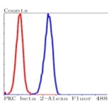 Anti-PKC β Antibody from Bioworld Technology (BS9941M) - Antibodies.com