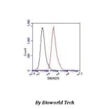 Anti-Smad5 (C-terminus) Antibody from Bioworld Technology (MB0069) - Antibodies.com