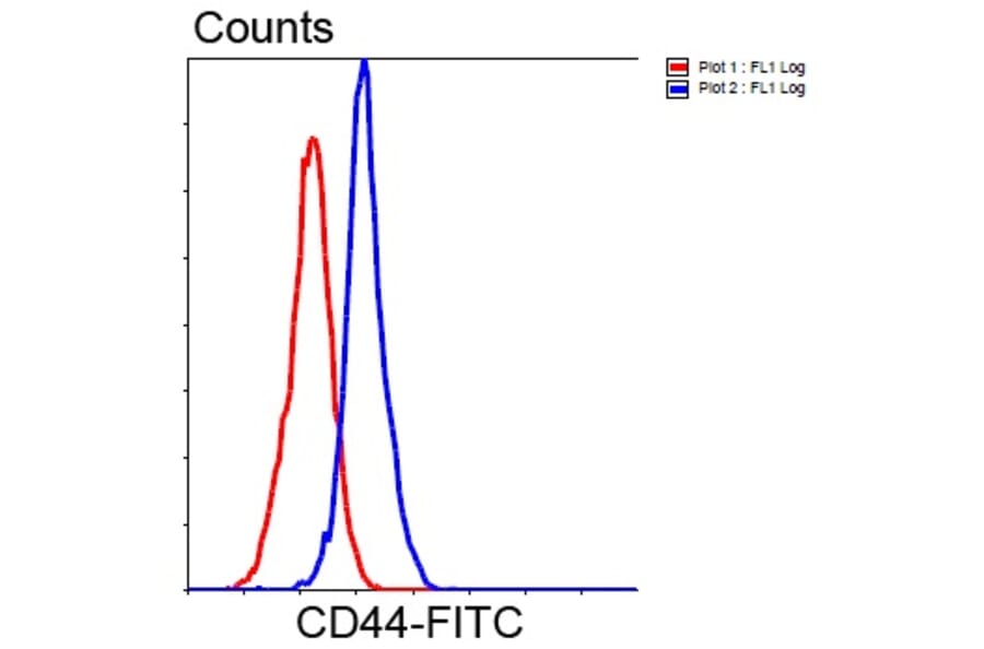 Anti-CD44 Antibody from Bioworld Technology (MB9004) - Antibodies.com