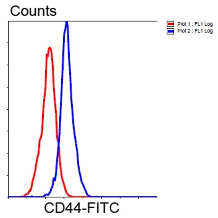 Anti-CD44 Antibody from Bioworld Technology (MB9004) - Antibodies.com