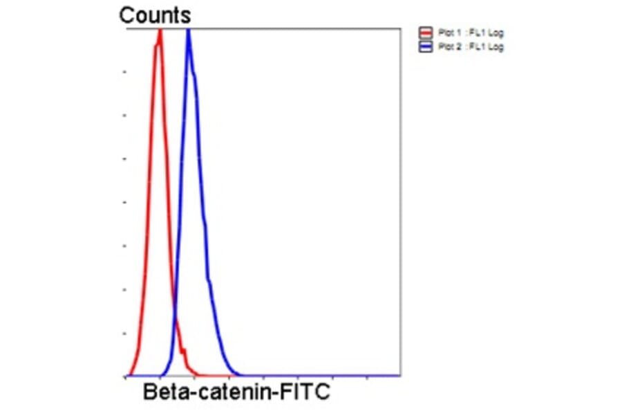 Anti-Catenin-β Antibody from Bioworld Technology (MB9005) - Antibodies.com
