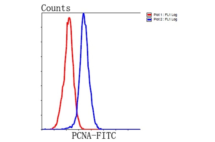 Anti-PCNA Antibody from Bioworld Technology (MB9012) - Antibodies.com