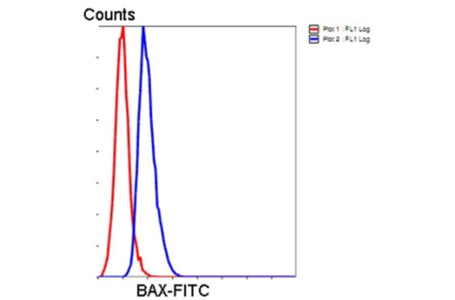Anti-Bax Antibody from Bioworld Technology (MB9013) - Antibodies.com