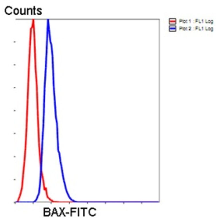 Anti-Bax Antibody from Bioworld Technology (MB9013) - Antibodies.com