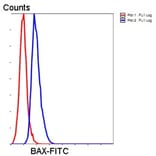 Anti-Bax Antibody from Bioworld Technology (MB9013) - Antibodies.com