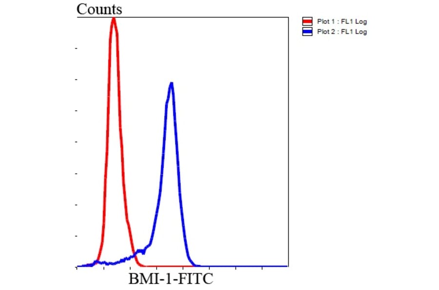 Anti-Bmi1 Antibody from Bioworld Technology (MB9014) - Antibodies.com