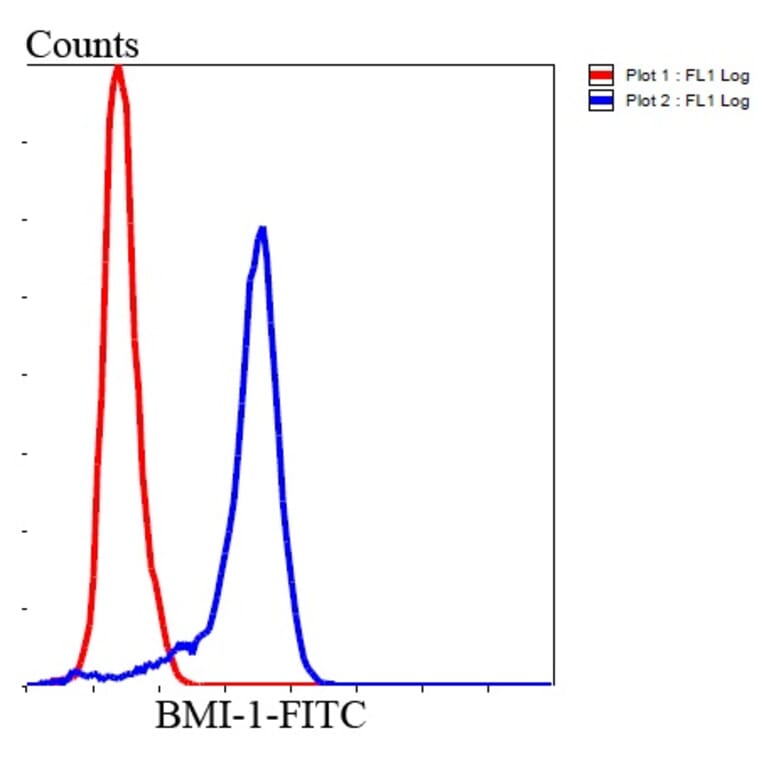 Anti-Bmi1 Antibody from Bioworld Technology (MB9014) - Antibodies.com