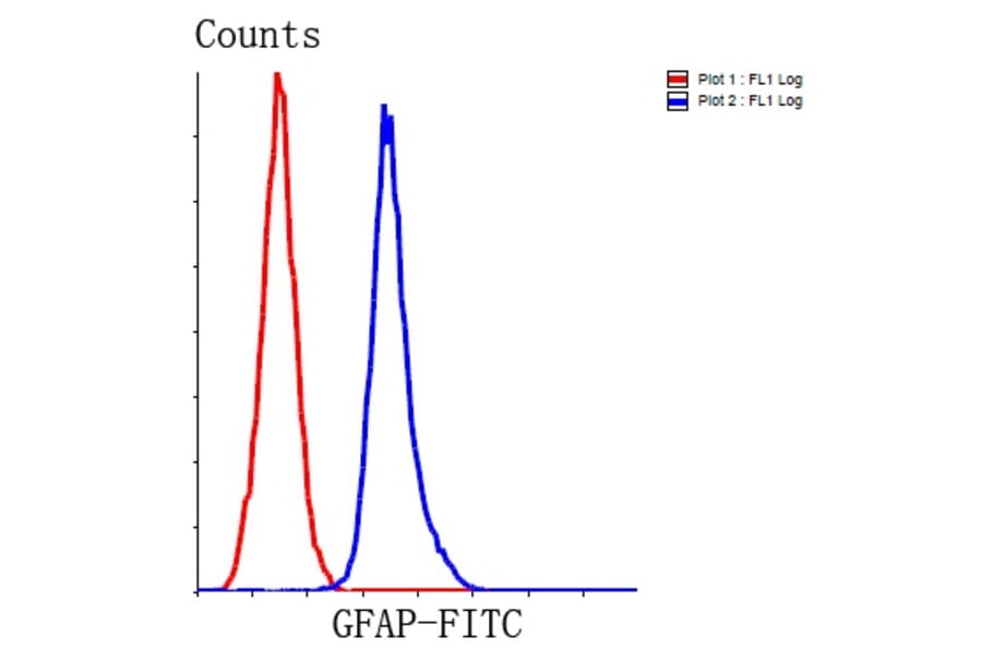 Anti-GFAP Antibody from Bioworld Technology (MB9017) - Antibodies.com