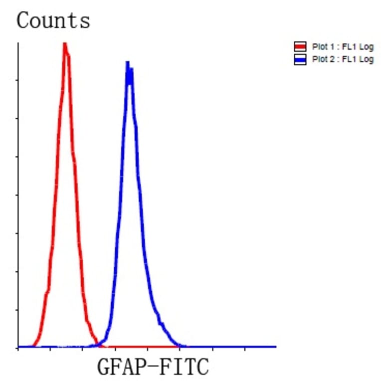 Anti-GFAP Antibody from Bioworld Technology (MB9017) - Antibodies.com
