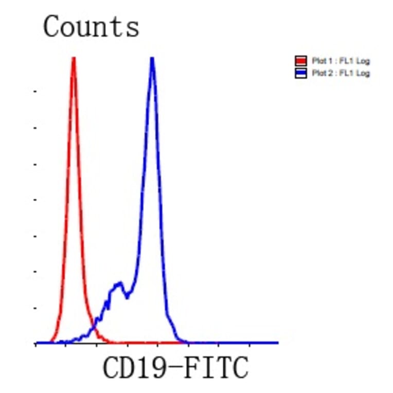 Anti-CD19 Antibody from Bioworld Technology (MB9024) - Antibodies.com