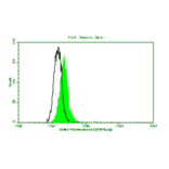Flow Cytometry - Anti-CA 125 Antibody (MO-T40012A) - Antibodies.com
