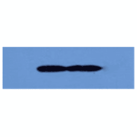 Western Blot - Anti-EPO Antibody (MO-C40047A) - Antibodies.com
