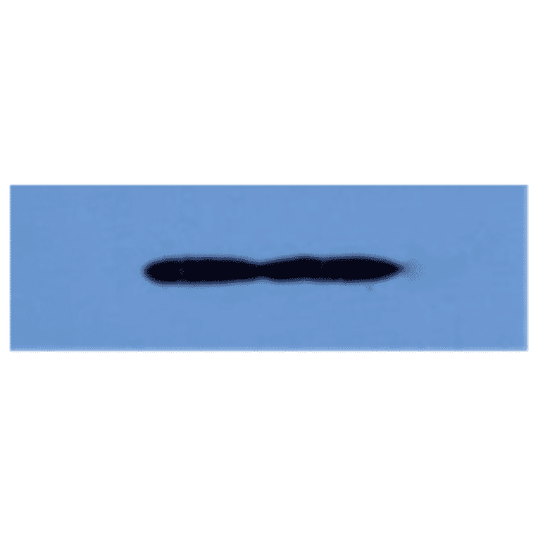 Western Blot - Anti-EPO Antibody (MO-C40047A) - Antibodies.com