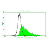 Flow Cytometry - Anti-IL6 Antibody (MO-C40091F) - Antibodies.com