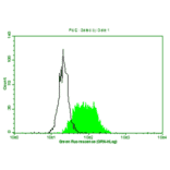 Flow Cytometry - Anti-beta 2 Microglobulin Antibody (MO-M40021C) - Antibodies.com