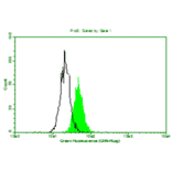 Flow Cytometry - Anti-beta 2 Microglobulin Antibody (MO-M40021E) - Antibodies.com