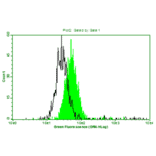 Flow Cytometry - Anti-IL2 Antibody (MO-C40032E) - Antibodies.com