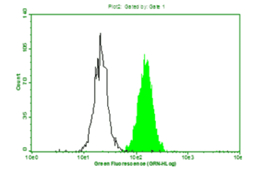 Anti-CRP Antibody [S5G1] (A32791) | Antibodies.com