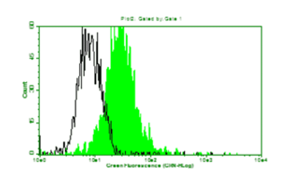 Flow Cytometry - Anti-Lung Carcinoma Antibody (MO-T40005B) - Antibodies.com