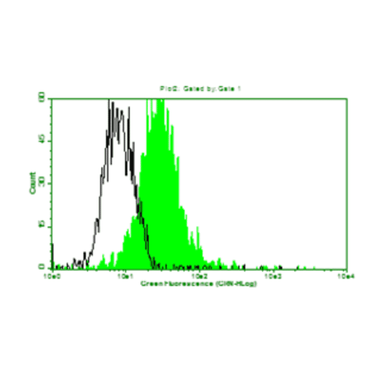 Flow Cytometry - Anti-Lung Carcinoma Antibody (MO-T40005B) - Antibodies.com