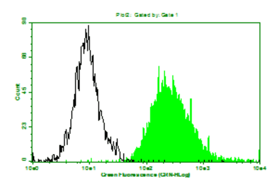 Flow Cytometry - Anti-Colorectal Carcinoma + CD3 Antibody (MO-T40035) - Antibodies.com