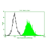 Flow Cytometry - Anti-Colorectal Carcinoma + CD3 Antibody (MO-T40035) - Antibodies.com