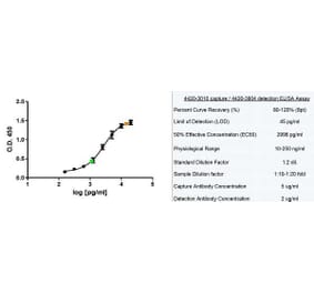 ELISA - Native Human Ferritin Protein (A320007) - Antibodies.com