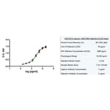 ELISA - Native Human Ferritin Protein (A320007) - Antibodies.com